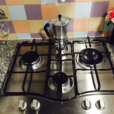 '컴포트&플레저' *